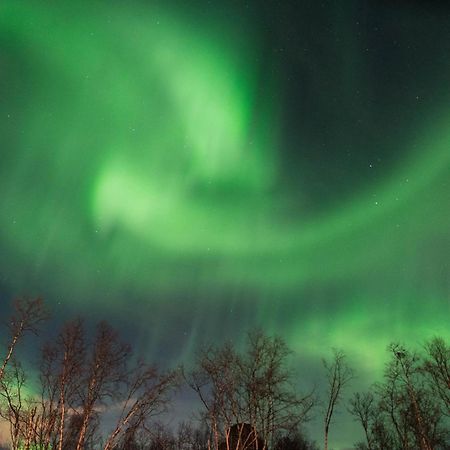 Ofelas Islandshaestar & Guideservice Kiruna Exterior foto