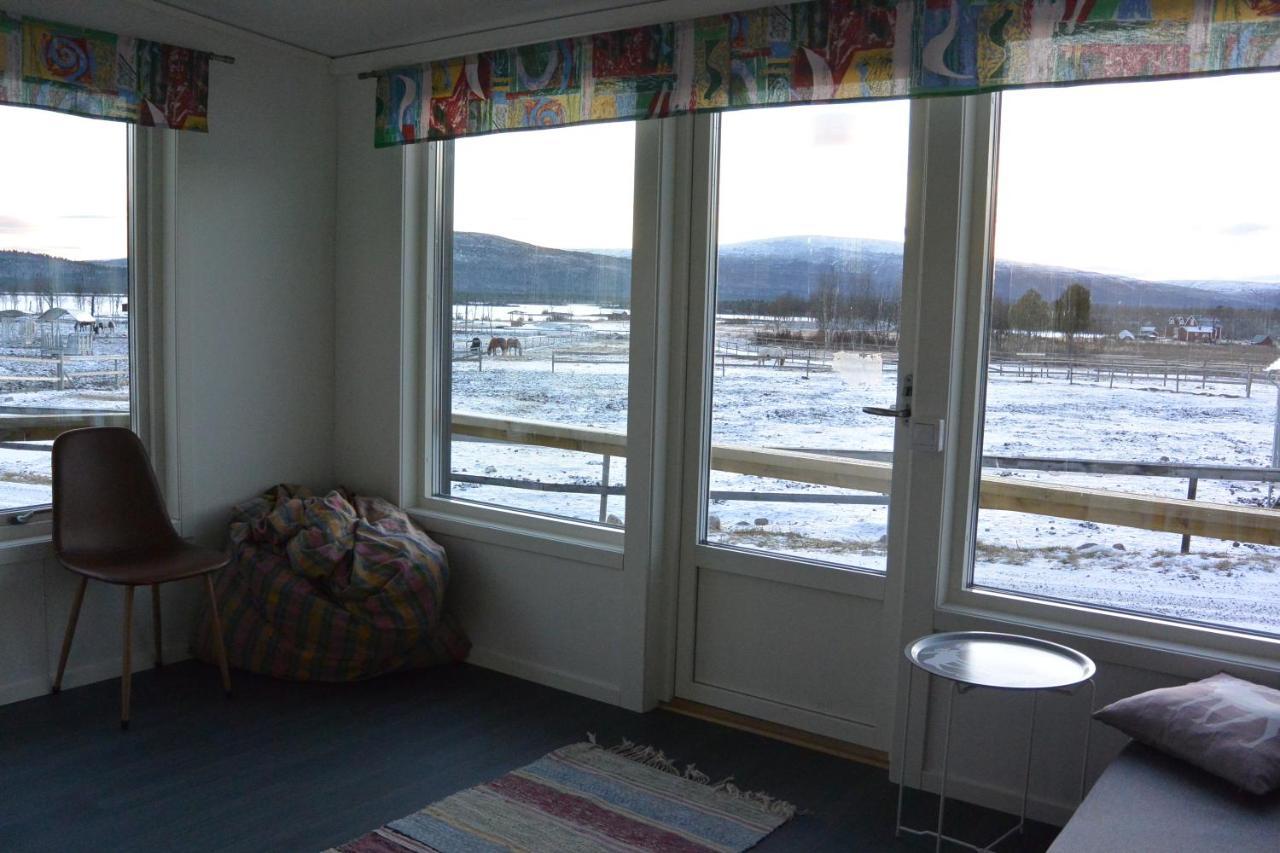 Ofelas Islandshaestar & Guideservice Kiruna Exterior foto