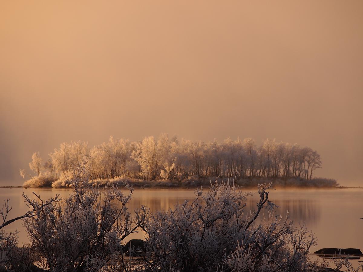 Ofelas Islandshaestar & Guideservice Kiruna Exterior foto