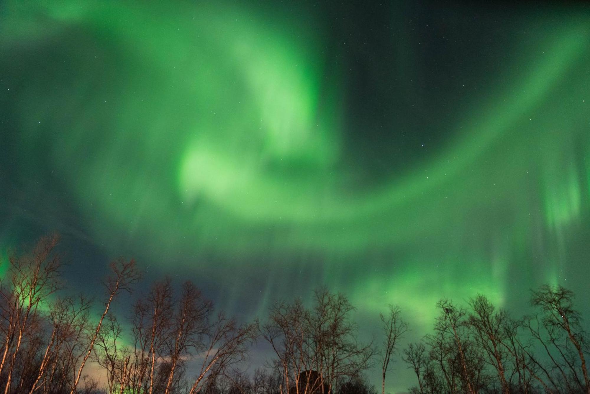 Ofelas Islandshaestar & Guideservice Kiruna Exterior foto